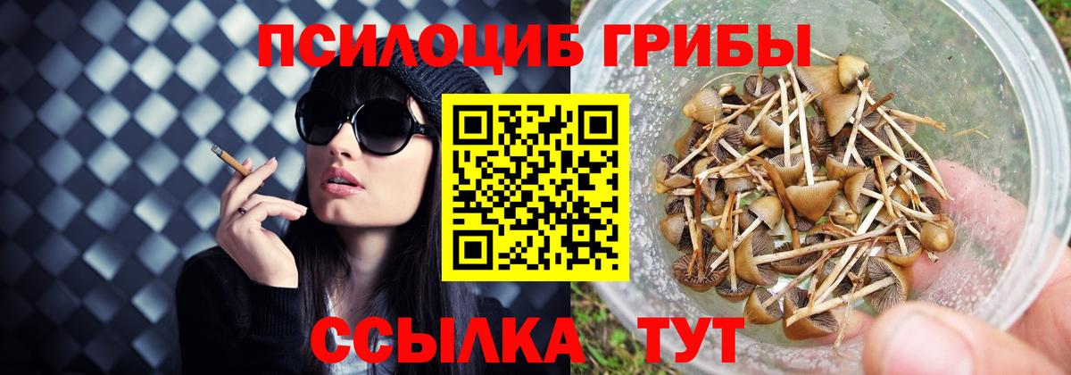Лыткарино  Псилоцибиновые грибы Magic Shrooms  Галлюциногенные грибы ЛСД  Вход с VPN 